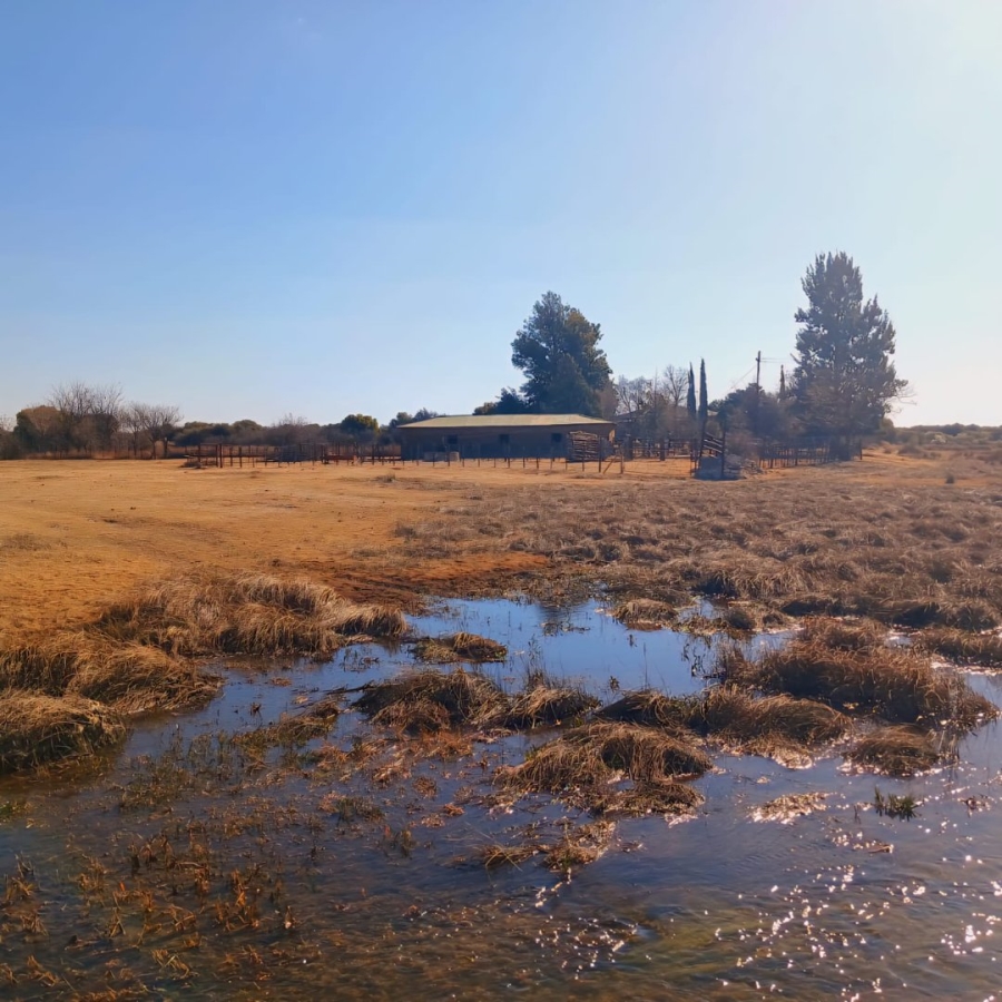 Commercial Property for Sale in Reivilo Northern Cape